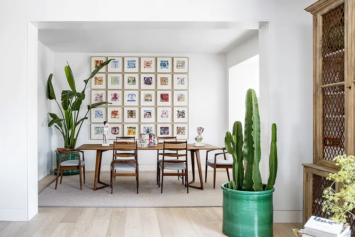 Cactus / Foto:&nbsp;ELLE Decor