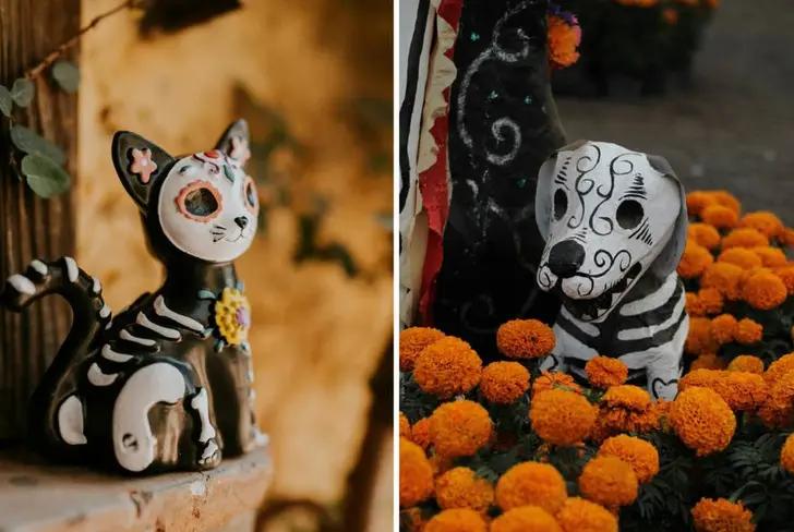 Día de Muertos Mascotas