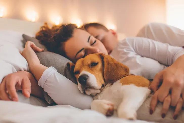 Pareja durmiendo con su perro / Foto:&nbsp;Clarin.com