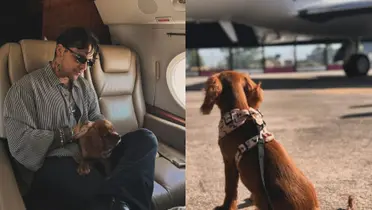 Christian Nodal y su perro Chichi en Instagram: Foto: Instagram Nodal
