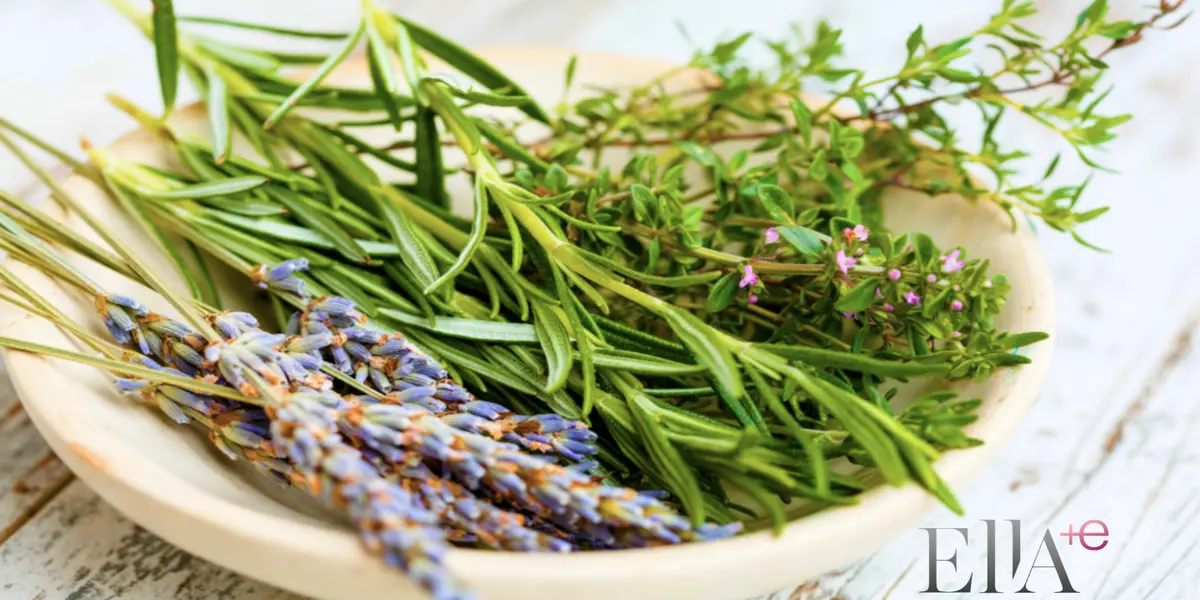 Hierbas aromáticas (Foto: Fruticola)