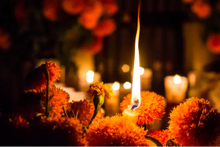 Veladoras o velas para el altar de muertos&nbsp;