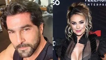 Arturo Carmona y Aracely Arámbula otra vez trabajarían juntos