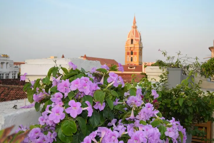 Foto:&nbsp;Cartagena