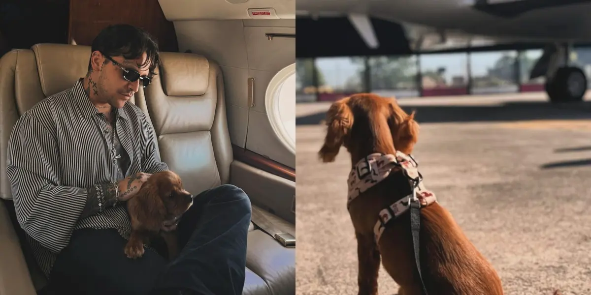 Christian Nodal y su perro Chichi en Instagram: Foto: Instagram Nodal