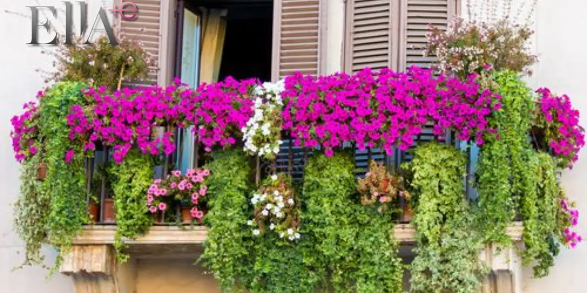 Decoración: Qué plantas colgantes son las mejores para decorar el hogar