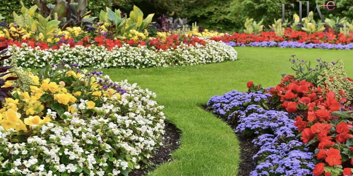 Jardín con plantas (Foto: Un jardín para mi)