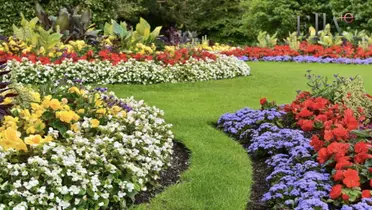 Jardín con plantas (Foto: Un jardín para mi)